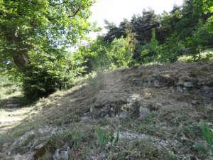 strimmed calabert rocks