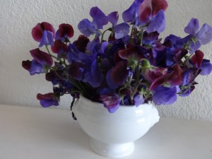 sweet peas