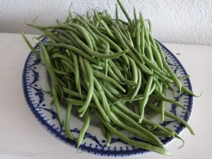 first beans
