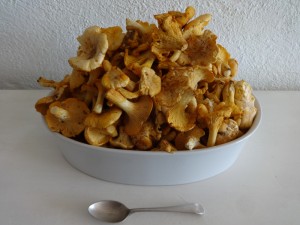 chanterelles friday