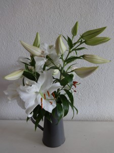 lilies