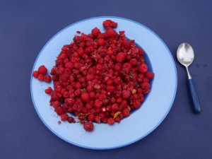 wild raspberries