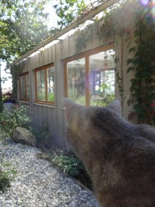 artur looking at potting shed