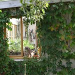 artur potting shed window