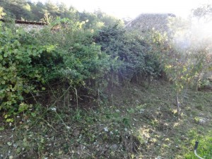 bramble work on bank