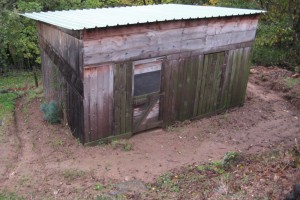 1stables landscaped