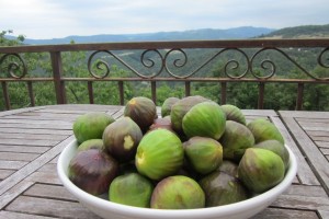 first figs