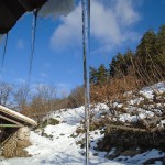 1icicles on the roof