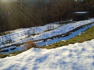 1snow receding