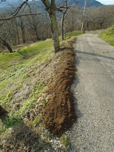 2edgeofroad