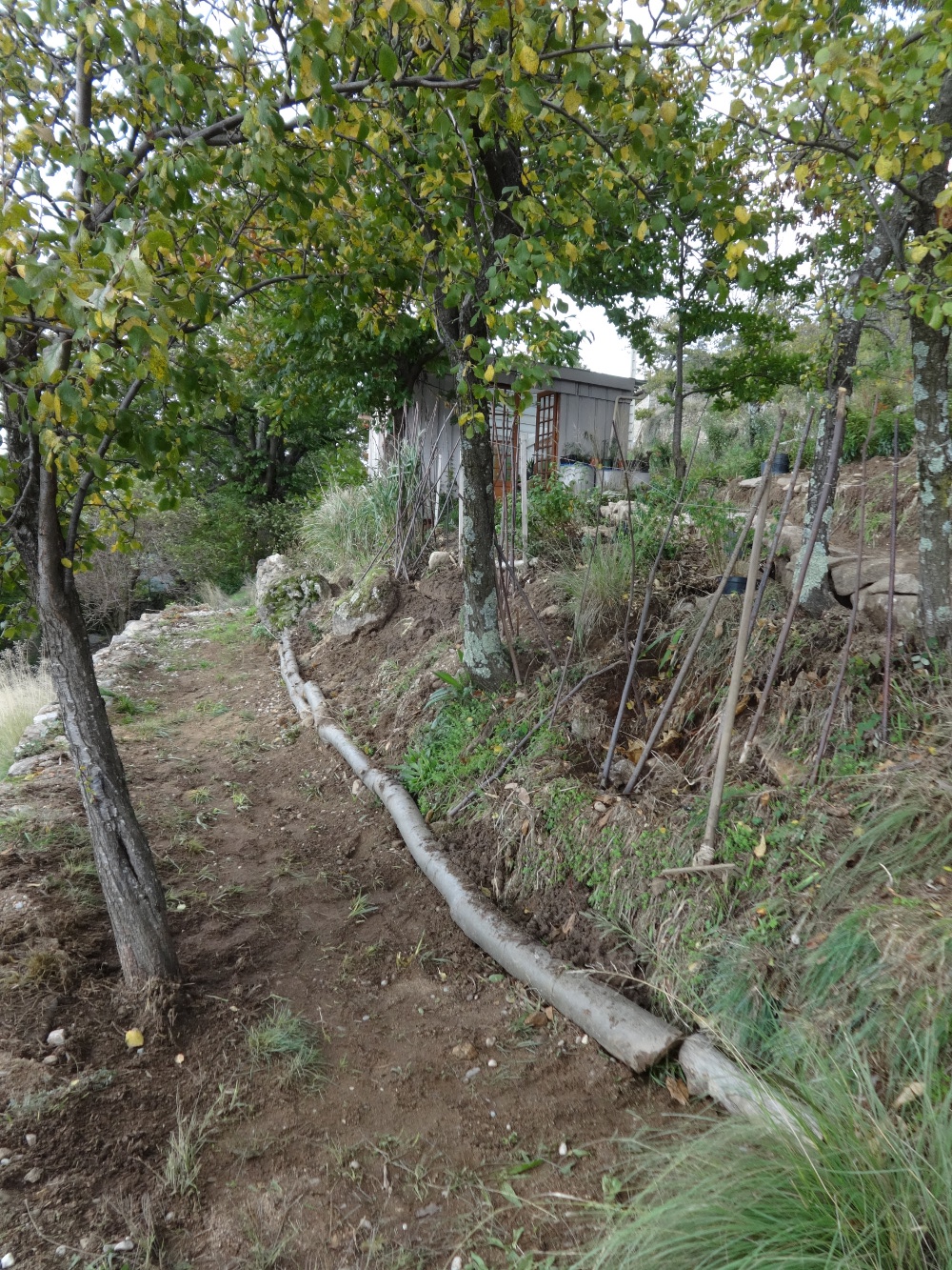 small log wall