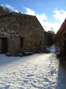 1courtyard snow