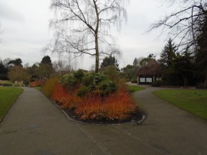 cornusgoldershillpark