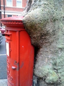 letterbox