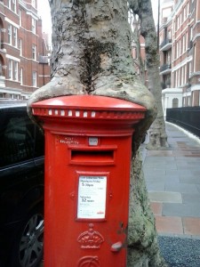 letterbox1