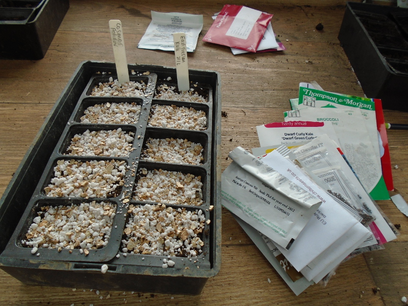 1seedsowing