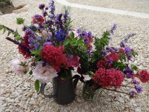 flowers june