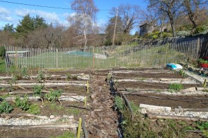 1central path work