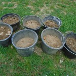 1mole hill soil