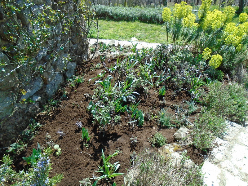1mulched herb bed