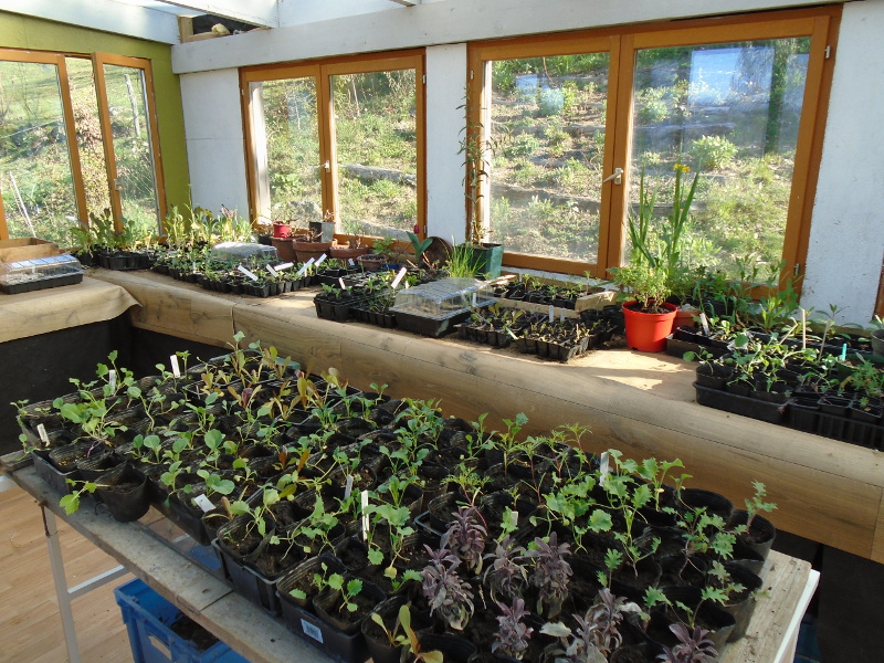 1potting shed crops