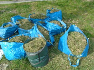 1sacks of grass