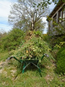 1wheelbarrow of weeds