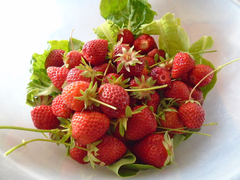 1glutstrawberries