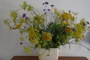 1vase achillea