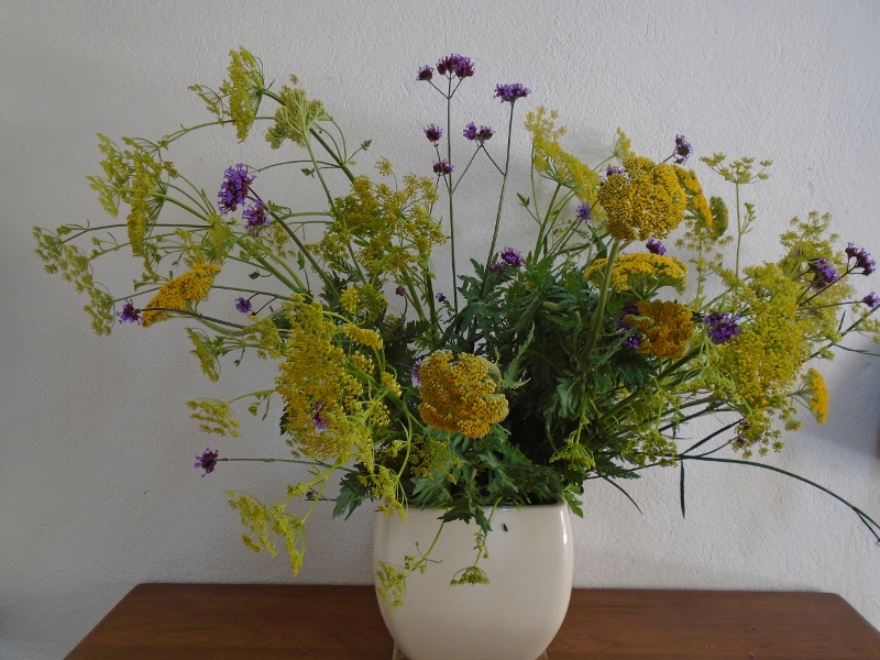 1vase achillea