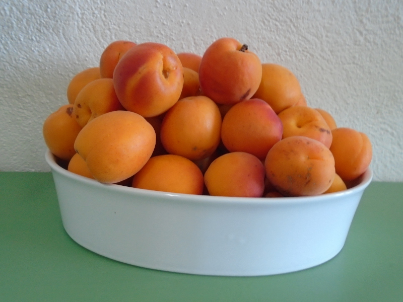 apricotwhitebowl