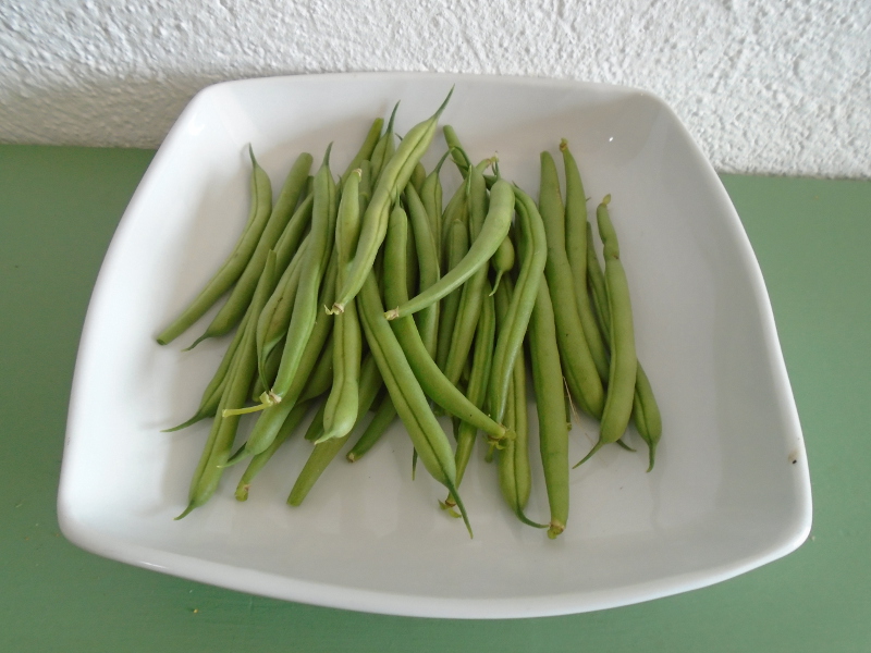 firstfrenchbeans