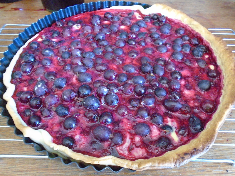 jostaberry tart