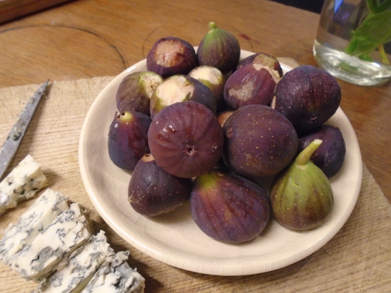 figs purple