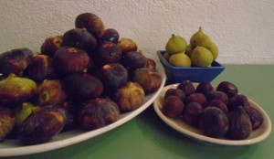 figs