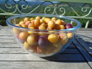 mirabelles sept