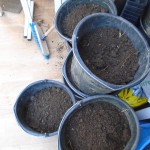 buckets of compost