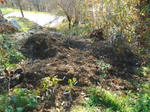 compost heap (2)