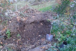 compost heap digging