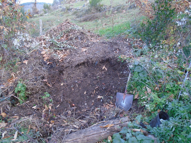 compost heap digging