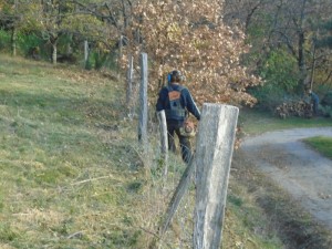 fence removing 1