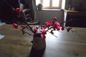 japanese quince vase