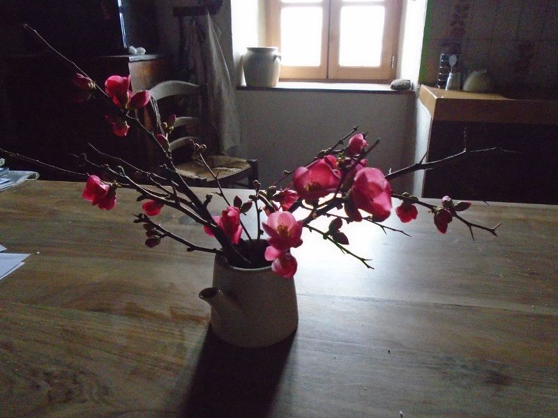 japanese quince vase