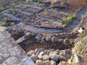 corner potager top view