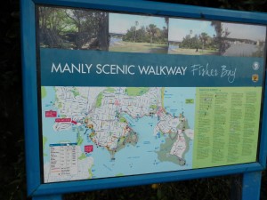 2 manlyscenicwalkway