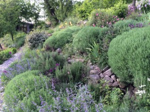 calabertjune1