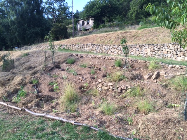 landscaped 10metres