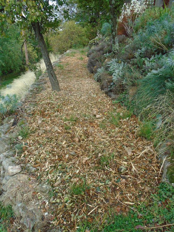 mulched path