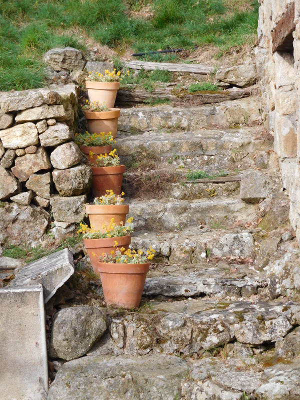 pots on steps