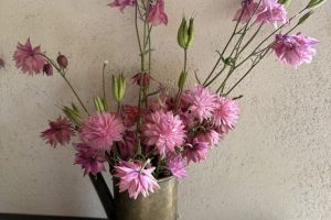 IMG_0503 2